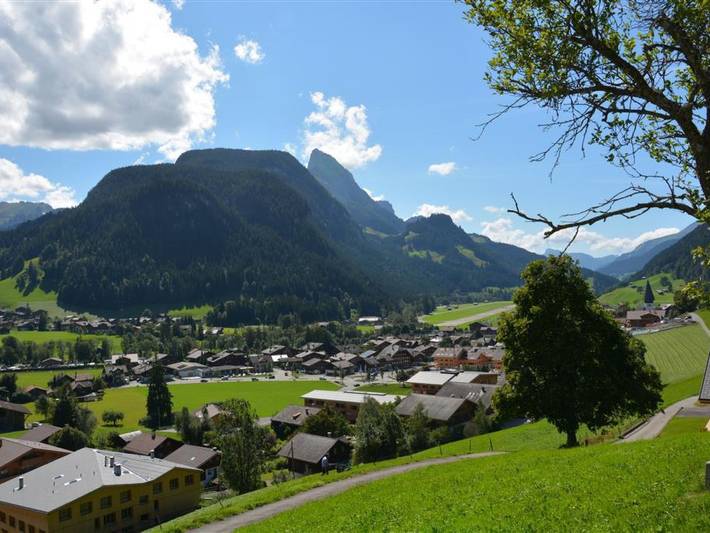 Appartement entier, Meielblick in Saanenmöser, Saanen