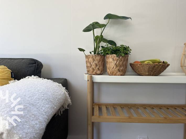 Chalet für 2 Personen, mit Terrasse und Garten in Zeeland - 4