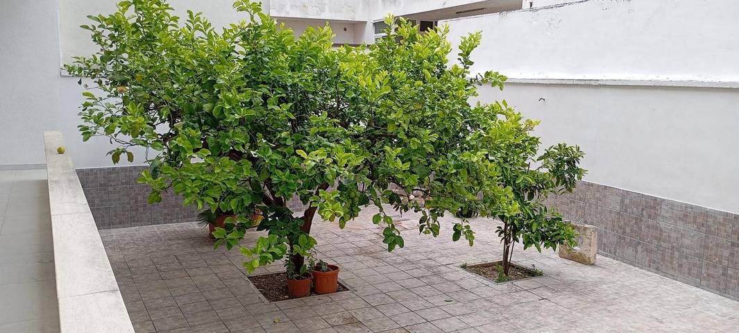 Casa vacanza per 2 persone, con giardino a Sammichele di Bari