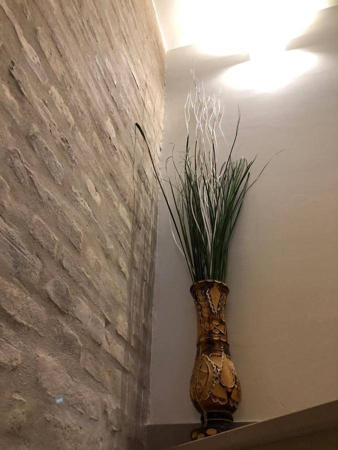 Chambre d’hôte pour 4 personnes, avec Balcon et Terrasse dans Marche - 4