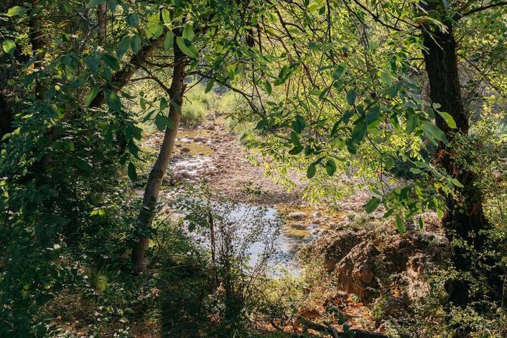 Apartamento de vacaciones para 29 personas, con jardín y piscina en Matarraña - 4