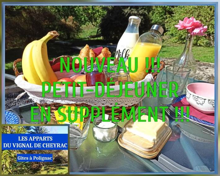 Gîte pour 5 personnes, avec vue et jardin à Polignac - 3