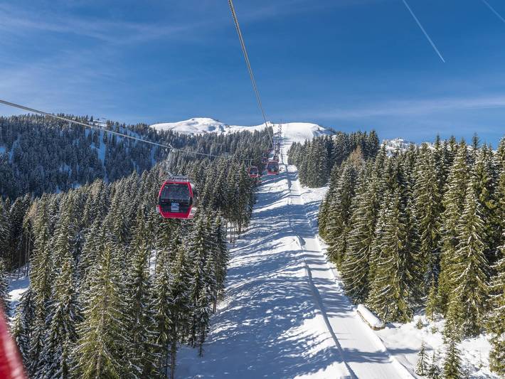 Bauernhaus für 3 Personen, mit Balkon und Garten, kinderfreundlich in Wildschönau - 3