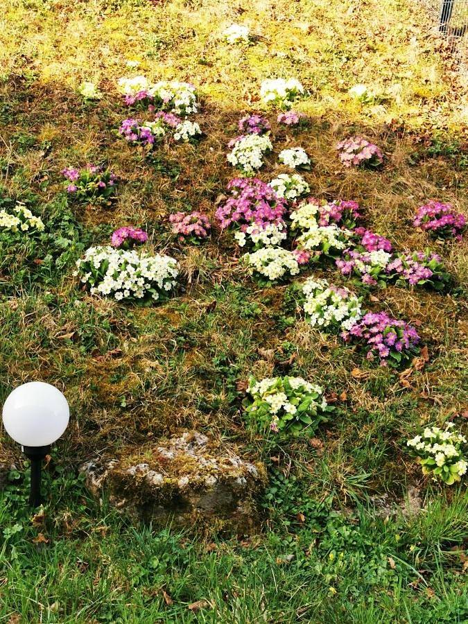 Gîte pour 3 personnes, avec balcon à Vittel - 4