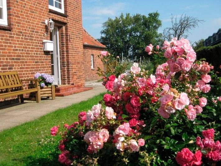 Ferienhaus für 6 Personen, mit Terrasse und Garten in Strukkamp - 2
