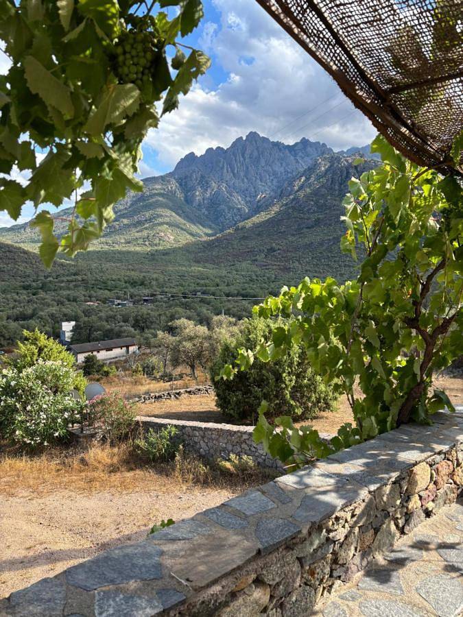 Location de vacances pour 4 personnes, avec vue et terrasse, animaux acceptés à Moltifao - 3