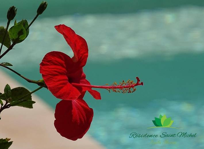 Location de vacances pour 2 personnes, avec piscine et jardin à L'Île-Rousse - 2