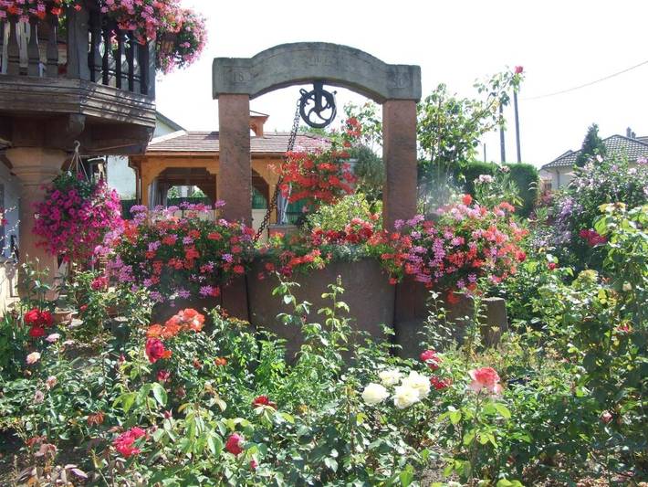 Gîte pour 5 personnes, avec vue et jardin dans Triembach-au-Val - 2
