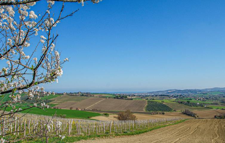 Gîte pour 5 personnes à Porto Sant'Elpidio - 4