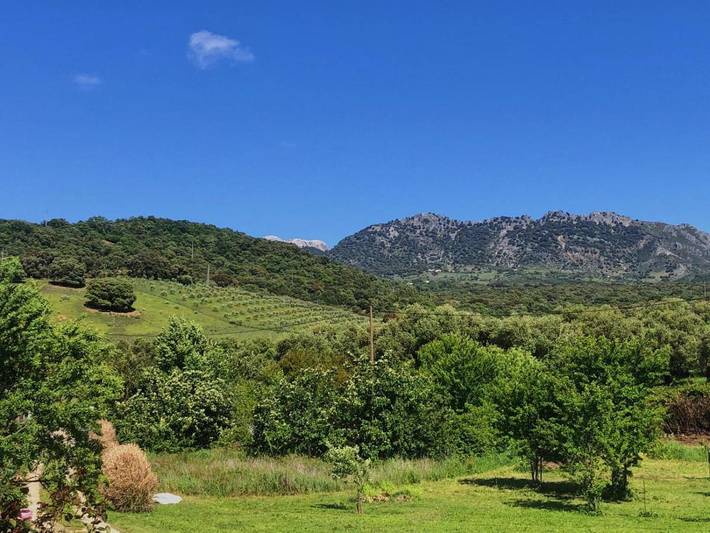 Chalet para 2 personas, con vistas además de piscina y jardín, Familias con niños en Serranía de Ronda - 3