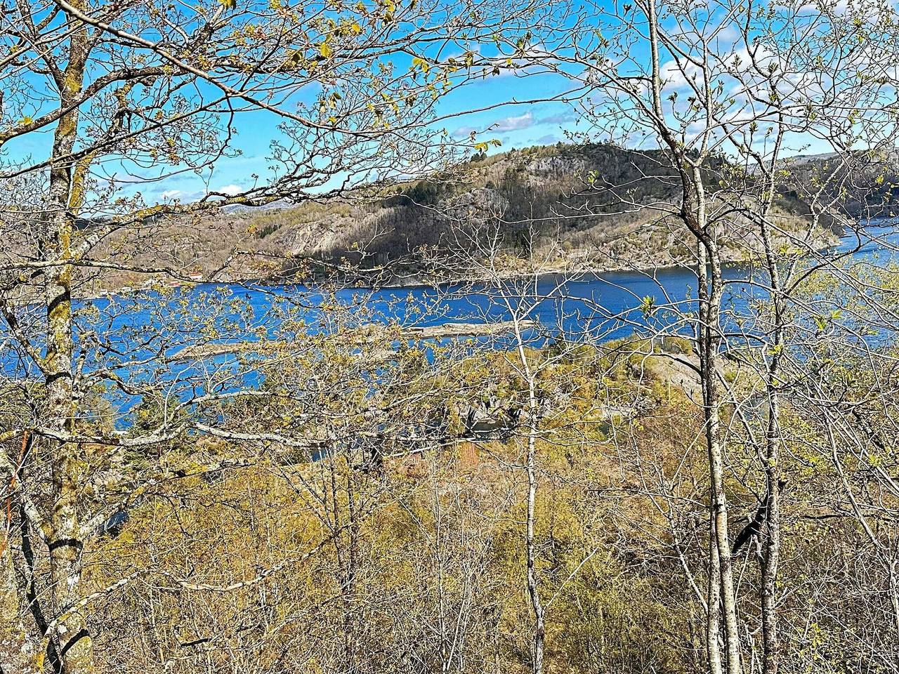 5 person ferie hjemme i Farsund in Farsund 