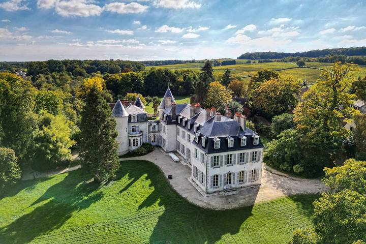 Château pour 47 personnes, avec Jacuzzi ainsi que Piscine et Sauna dans Centre-Val de Loire - 2