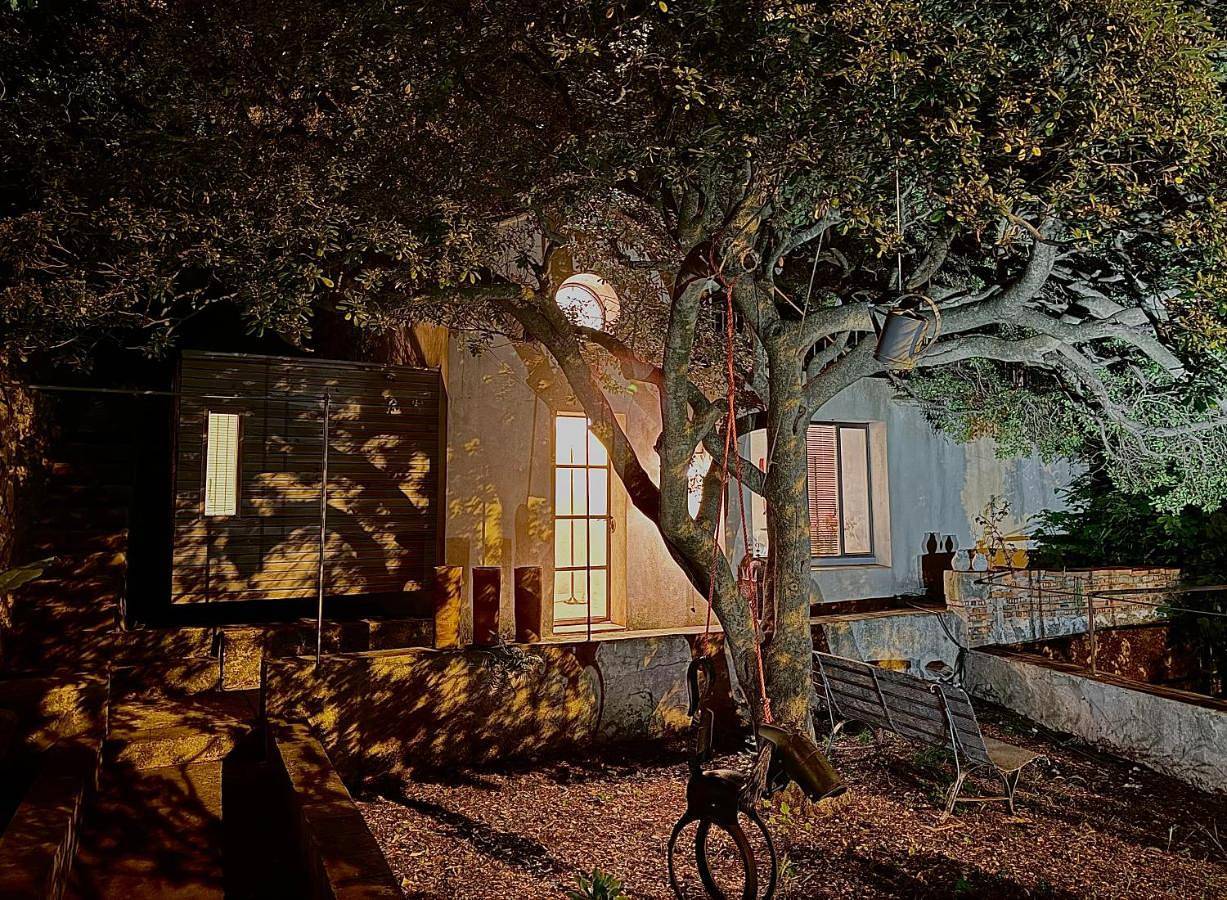 Le cabanon du Faron une chambre d hote dans un jardin in Toulon, Côte méditerranéenne (France)