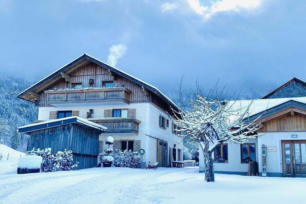 Ganze Wohnung, Ferienwohnung 5 - Hauszwetschke - Attersee Panorama Apartments in Salzkammergut-Berge, Steinbach am Attersee
