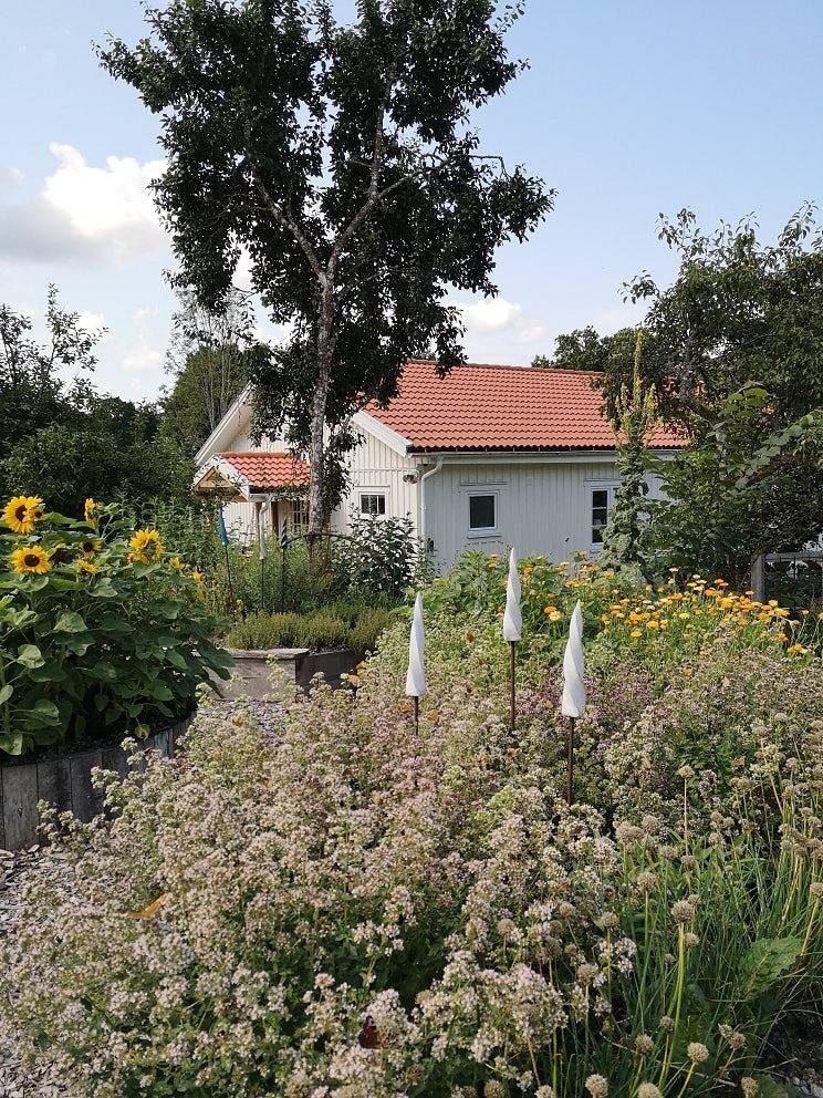 Casa vacanza a Blekinge a partire da 172€ a notte