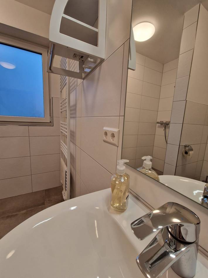 Ferienhaus für 8 Personen, mit Ausblick und Terrasse, mit Haustier in Haselünne - 3