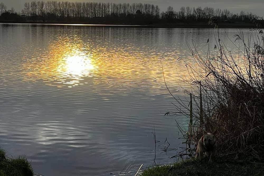 Strand & Zee in Noordwijkerhout, Niederländische Nordsee
