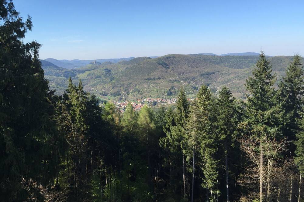 Alter Gutshof mit viel Platz für große Familien und alte Freunde - bis 8 Betten in Klingenmünster, Trifelsland