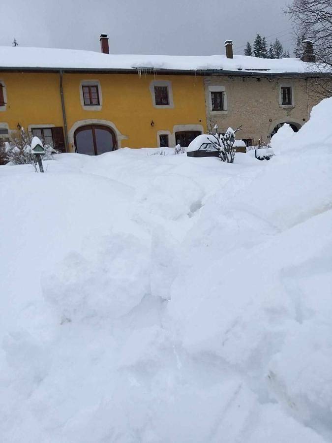 Location de vacances pour 12 personnes, avec Terrasse et Vue à Prénovel
