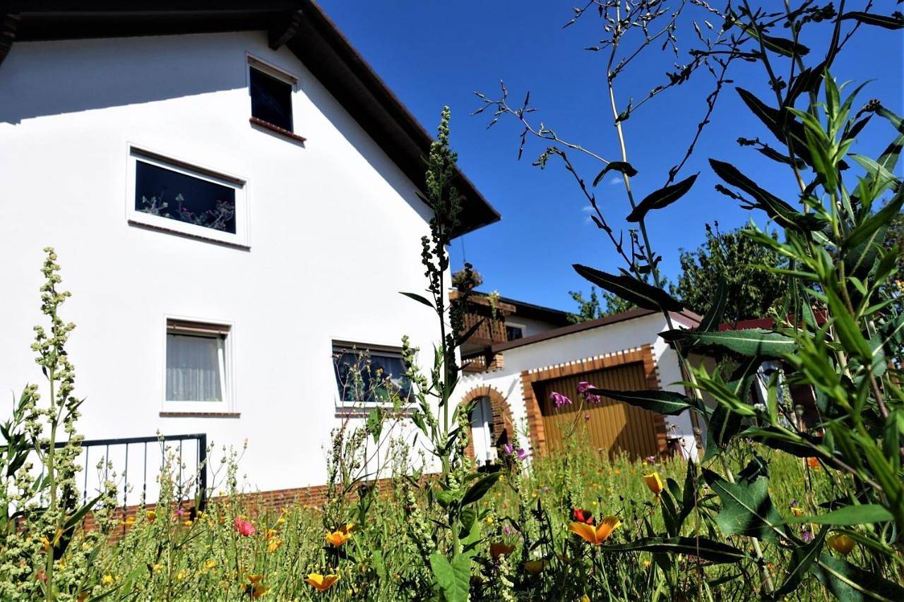 Ganze Wohnung, Standard Double Room in Meinhard, Werratal