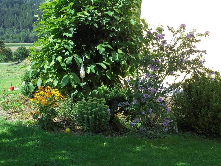 Bauernhof für 8 Personen, mit Balkon/Terrasse und Balkon in der Oberpfalz - 2