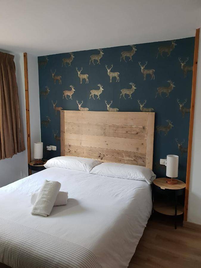 Gîte pour 4 personnes, avec piscine ainsi que vue et balcon à Panticosa - 3