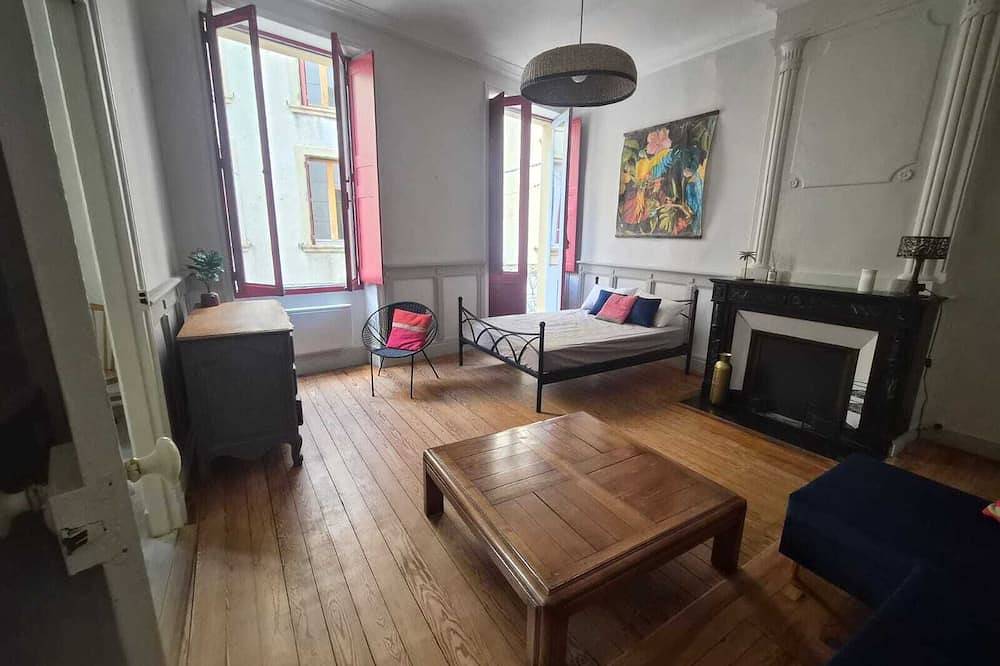 Entire apartment, Apartment historic center Crest in Crest, Die region