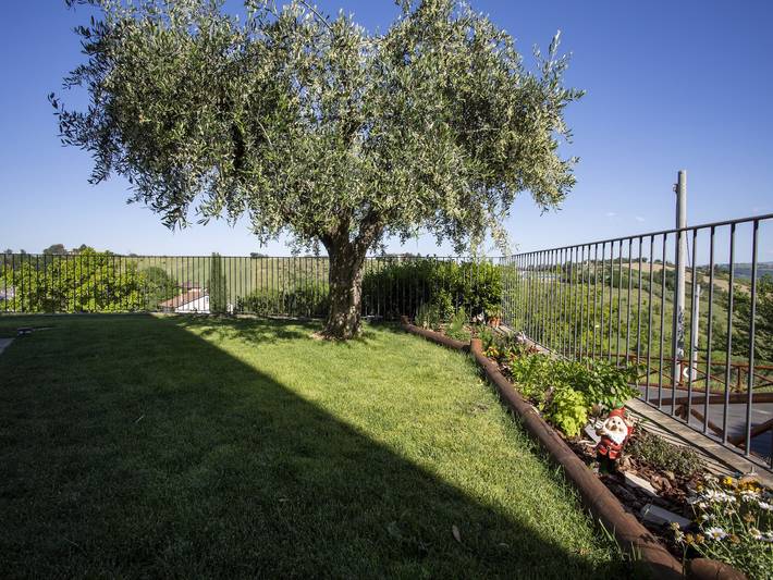 Appartamento intero, Appartamento nelle Marche con piscina e vino in Montecarotto, Provincia di Ancona