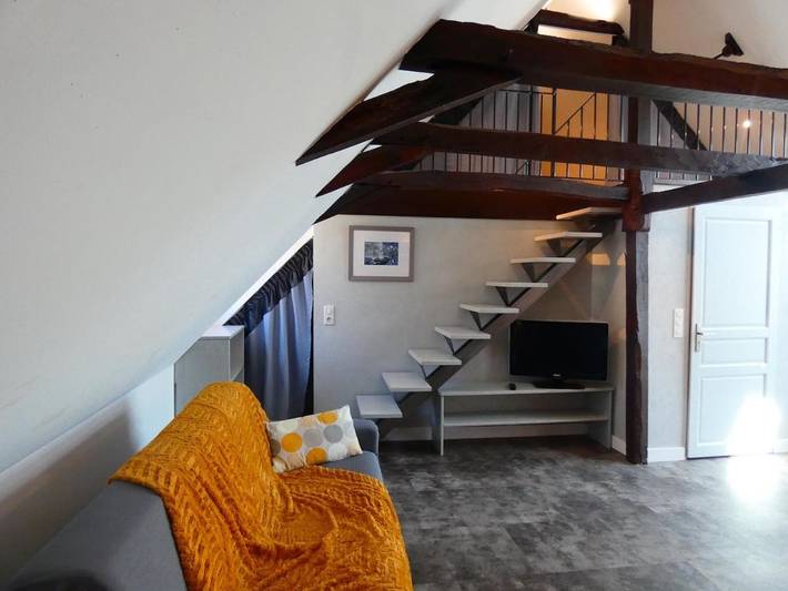 Hôtel pour 4 personnes, avec jardin ainsi que vue sur le lac et terrasse à Castelnau-de-Mandailles - 4