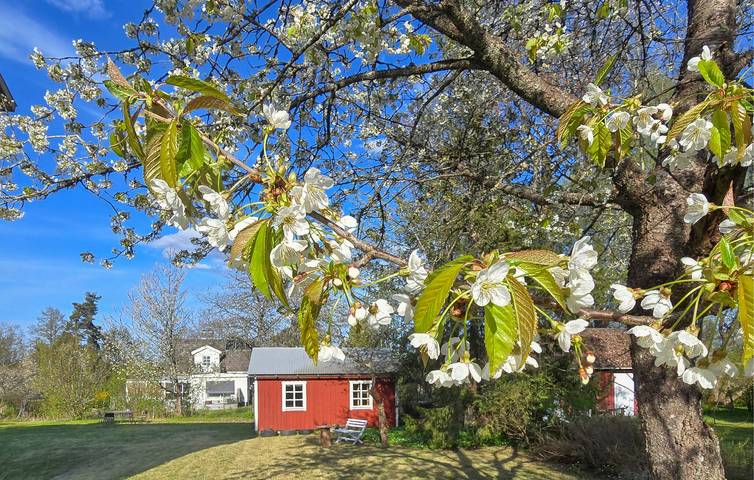 Ferienwohnung für 5 Personen, mit Garten