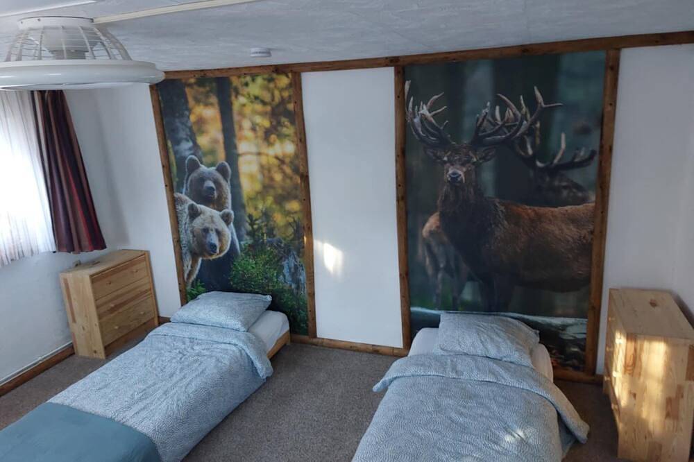 Ganze Wohnung, Come enjoy peace, space and nature of the Erstgebergte in apartment Vos in Großrückerswalde, Erzgebirge