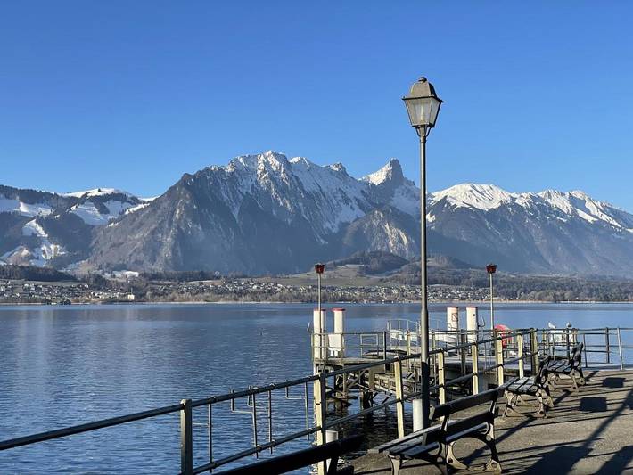 One-Bedroom Standard Apartment in Oberhofen am Thunersee, Thunersee