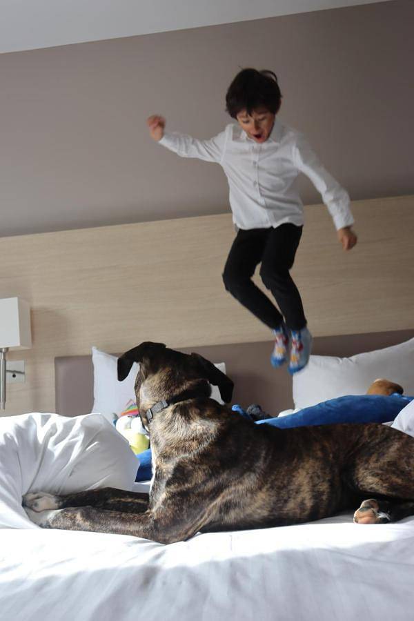 Hôtel pour 2 personnes, avec jardin, animaux acceptés à Colombes - 4