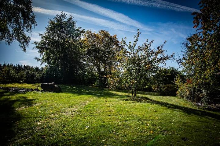 Ferienwohnung für 6 Personen, mit Balkon und Balkon/Terrasse sowie Terrasse und Garten in Naturpark Oberpfälzer Wald - 4