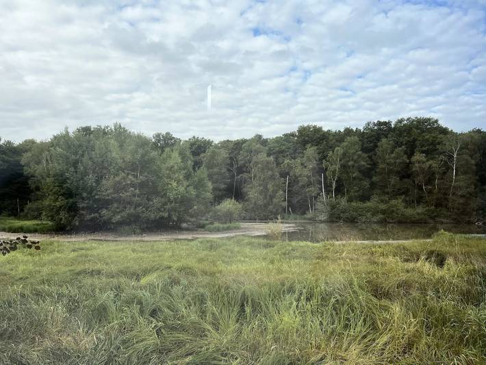 Appartement de vacances pour 2 personnes, avec vue, animaux acceptés dans Yonne - 4