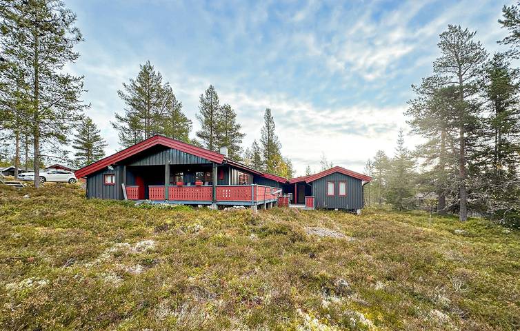 Ferienhaus für 8 Personen, mit Terrasse und Garten in Trysil