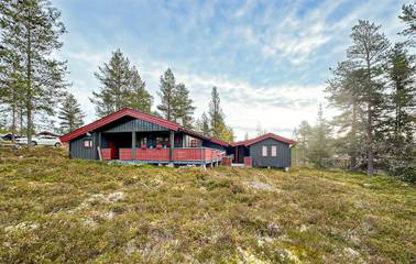 Ferienhaus für 8 Personen, mit Terrasse und Garten, mit Haustier in Trysil