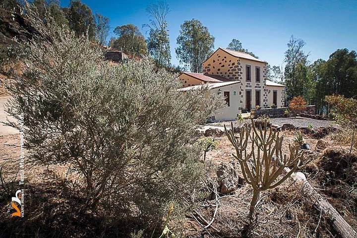 Casa rural para 6 personas, con terraza y jardín, Se admiten mascotas en Teror - 4
