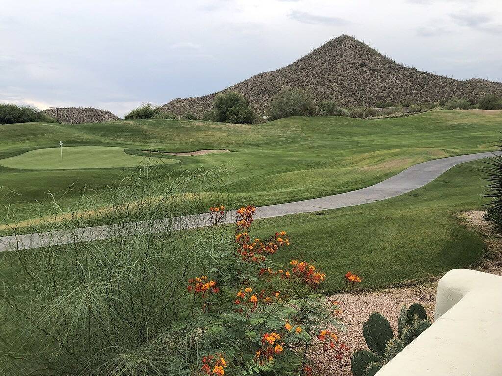 Starr Pass 76 Desert Oasis in Tucson, Pima County