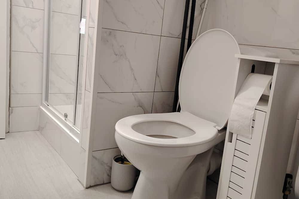 Entire apartment, Apartment with double bed, sofa bed, bathroom and kitchen in Montereau-Fault-Yonne, Seine-et-Marne