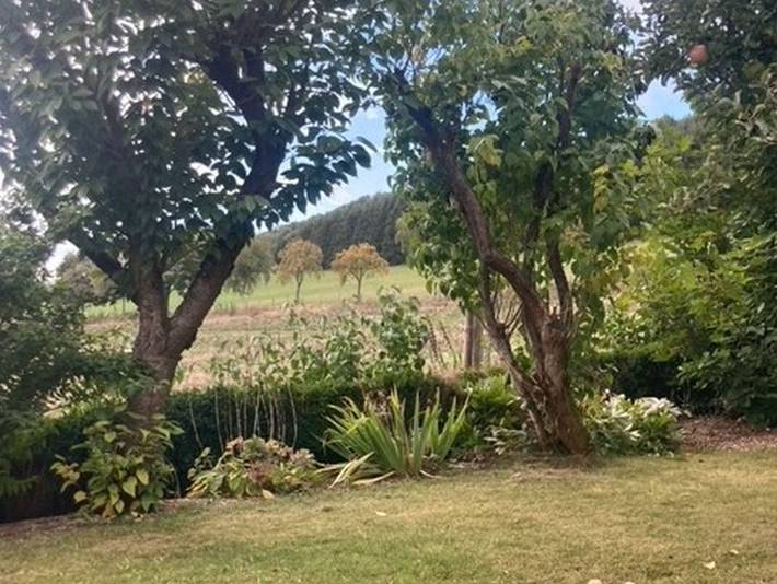 Ferienhaus für 4 Personen, mit Balkon, mit Haustier in Olsberg - 3