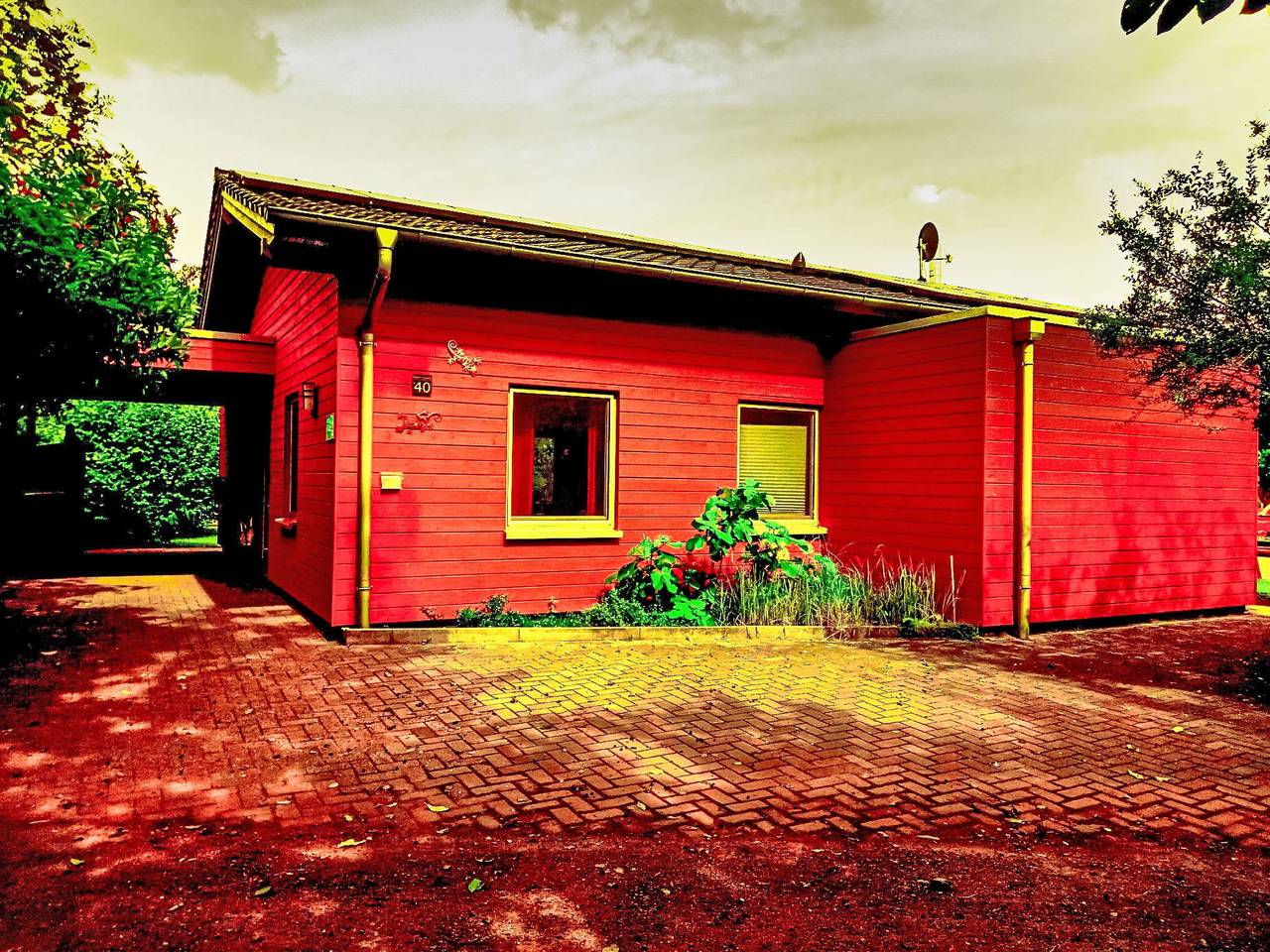 Pinto Rosso in Twist, Emsland