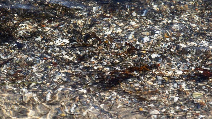 Ferienhaus für 7 Personen, mit Garten in Binderup Strand - 2