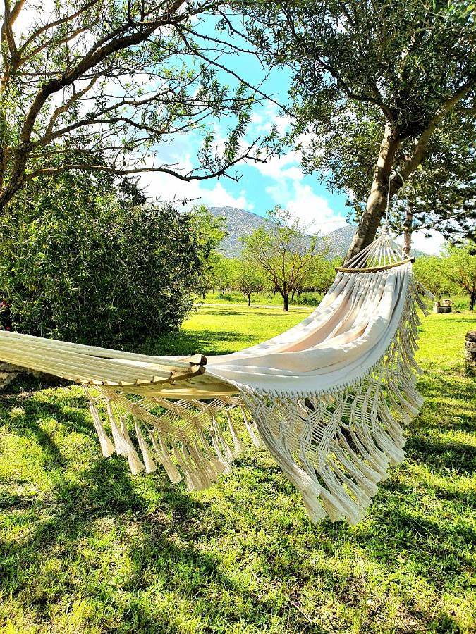 Hôtel pour 3 personnes, avec vue ainsi que jardin et terrasse, animaux acceptés