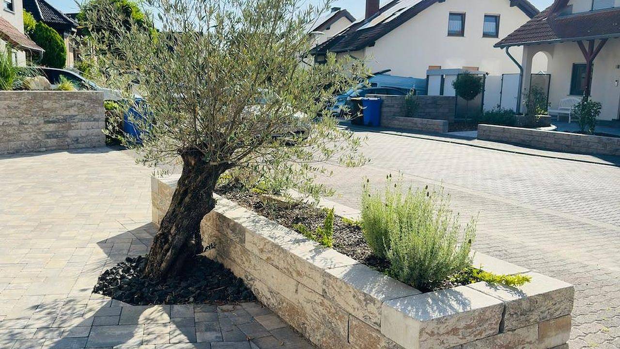 Appartamento intero, Ferienwohnung für 2 Personen (25 m²) in Wörrstadt in Wörrstadt, Rheinhessen e dintorni