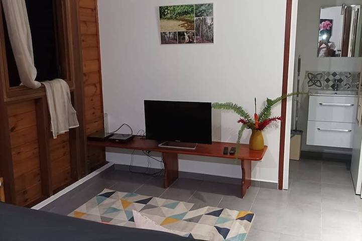 Location de vacances pour 4 personnes, avec jardin et terrasse à Petit-Bourg - 4