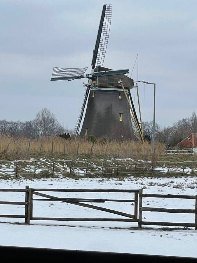 Chalet aan de Rotte in Rotterdam, Holandia Południowa