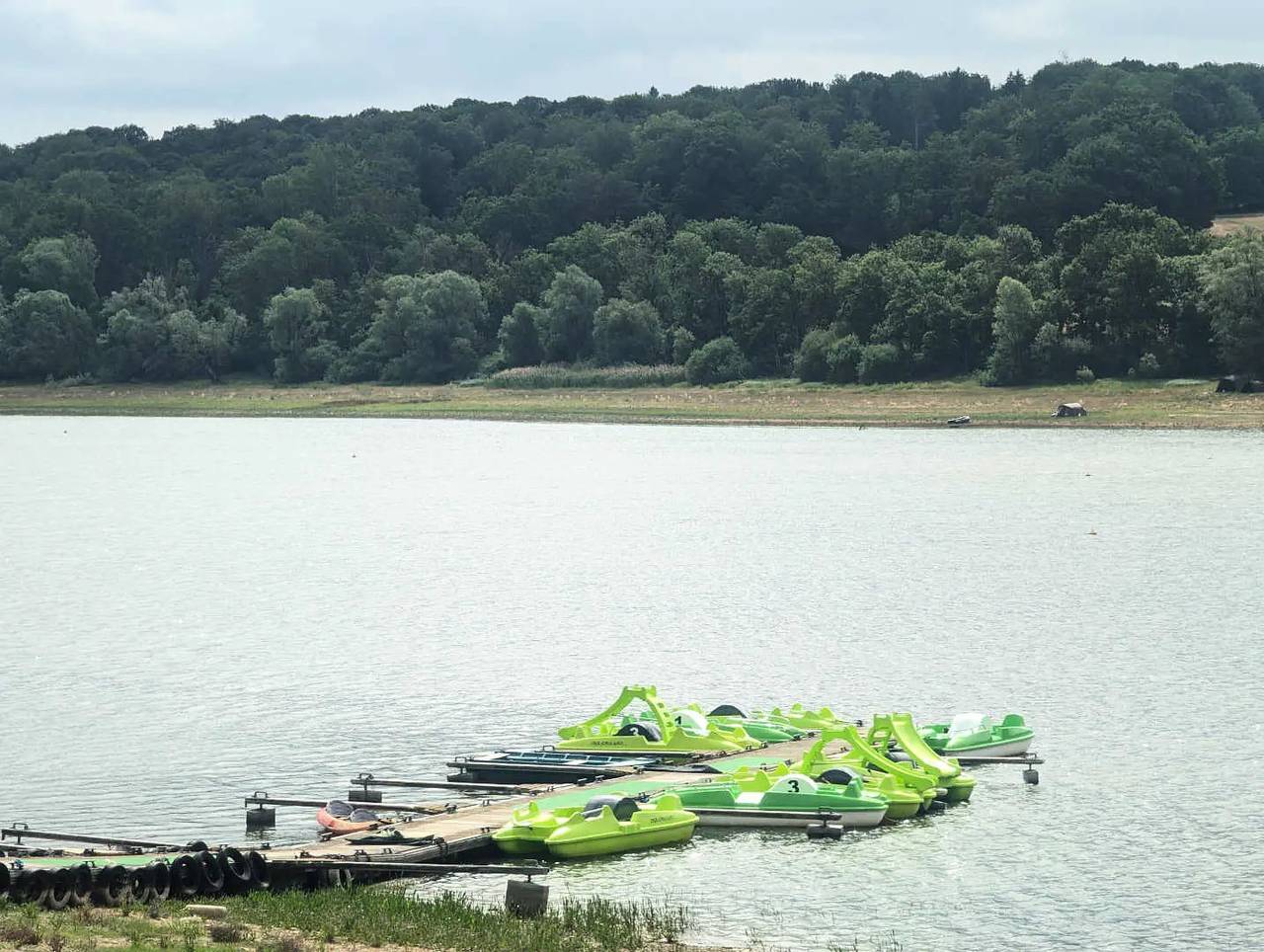 Gite de France 4 personas in Peigney, Alto Marne