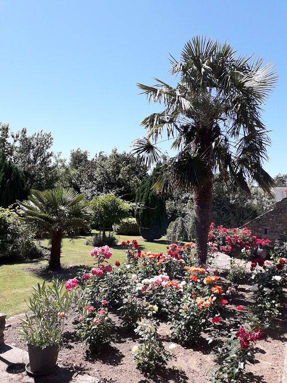 Chambre d’hôte pour 2 personnes dans la Manche - 4