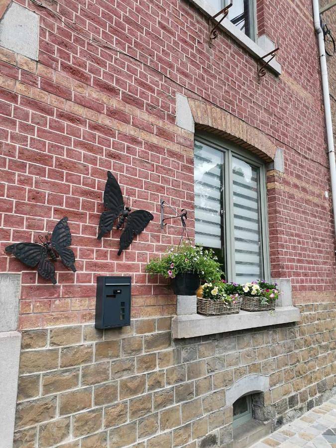 Maison de campagne pour 4 personnes, avec jardin dans Sougné-Remouchamps - 3